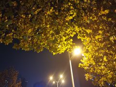 -川香烤鱼·超越火锅鸡(万达广场店)