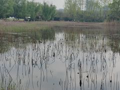-大蜀山国家森林公园