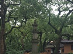 -普陀山风景名胜区-法雨禅寺