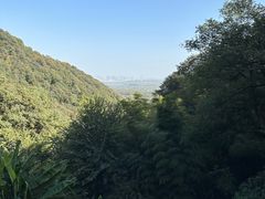 -韬光茶庵