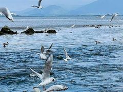 -深圳湾公园(南山区)