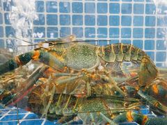 -星记小馆·小蓝龙·老南京砂锅菜(上海路店)