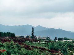 -玉舍国家森林公园