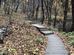 -北京上方山国家森林公园