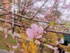 -陕西省西安植物园