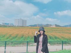-光明小镇欢乐田园