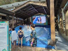 -杭州开元森泊度假乐园