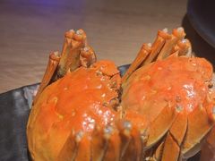 -红盔甲·小龙虾(车公庙店)