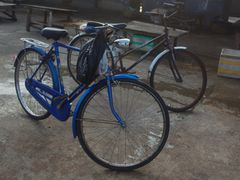 -尼甘布海鲜市场