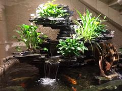 -汤泉良子·沐足·颂钵疗愈·SPA(珠江新城店)