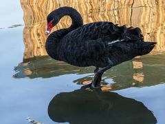 -昆山城市生态森林公园