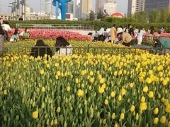 -泉城广场