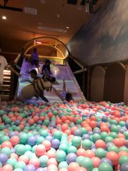 -卡通尼·Safari非洲探索乐园·生日会(金桥国际商业广场店)