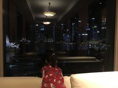 -新加坡丽思卡尔顿美年酒店