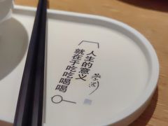 -岭南站NOVA