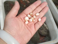 -蓬莱仙岛
