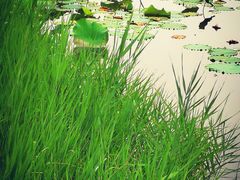 -中关村生命科学园