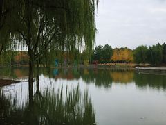 -白塘生态植物园