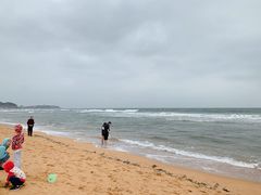 -林海公园