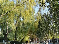 -永定河休闲森林公园