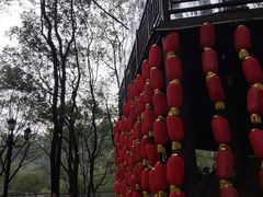-巴倒烫陆派重庆火锅(南山店)