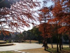 -颐景园