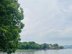 -西湖外事游船(湖滨二公园外事游船码头)