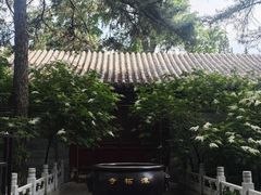 -潭柘寺景区