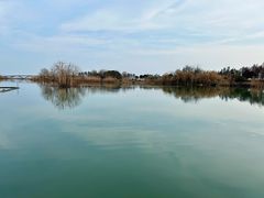 -贡湖湾湿地公园