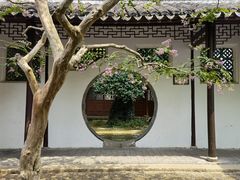 -上海醉白池公园