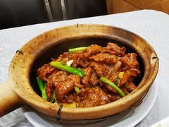 姜汁啫啫牛肉煲-粤·向群饭店(龙津东路总店)