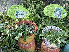 -广州神农草堂中医药博物馆