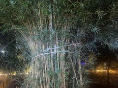 -湖南别院·美学庭院餐厅(惠阳店)