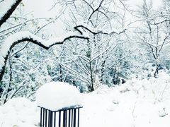 -木守西溪溪隐餐厅