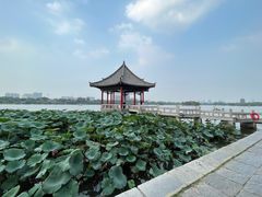 -济南大明湖景区