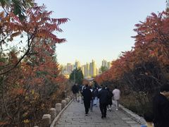 -南翠屏公园