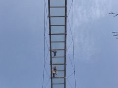 -武汉紫薇都市田园