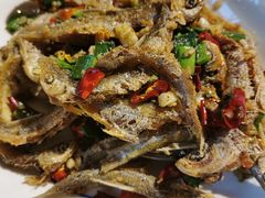 -印象鲵宴·张家界地标美食名片(溪布街店)