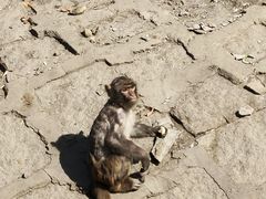 -哈尔滨北方森林动物园