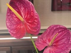 -悦秀·高级粤菜