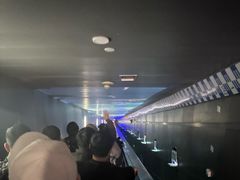 -白鹤梁水下博物馆