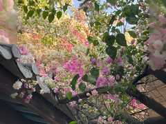 -深圳国际园林花卉博览园