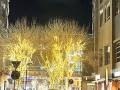 -中粮·祥云小镇