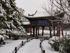 -晋祠公园