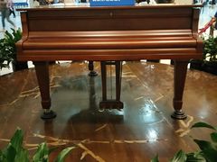 -上海交通大学医学院附属瑞金医院(总院)