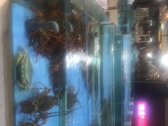 -旺顺阁海鲜广场(亚运村店)