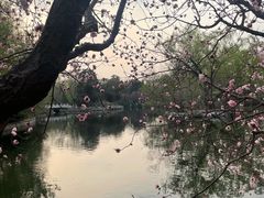 -皇家御河游(紫御湾码头)