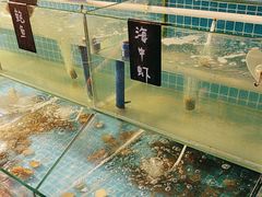 -渔家火锅·海鲜自助餐·演艺(亚龙湾天域酒店)