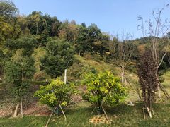 -东钱湖旅游度假区