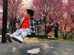 -石塘人家